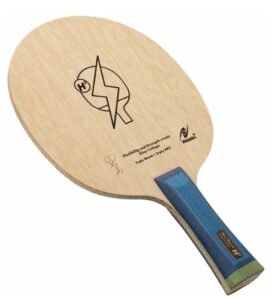 Nittaku Hina Hayata H2