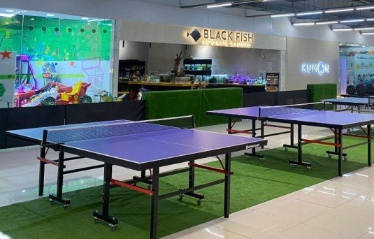 SM Center Shaw Table Tennis Academy